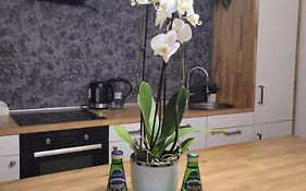 Apartament Pod Orzechem